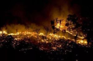 亚马逊雨林大火还未扑灭！巴西陷入政治博弈！